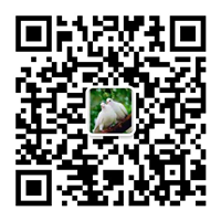 除塵設(shè)備_脫硝脫硫設(shè)備_污水處理_煙氣粉塵治理_唐山鉑銳環(huán)?？萍加邢薰?/></div>
      <!--二維碼結(jié)束-->
      <div   id=